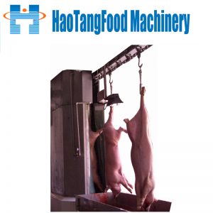 Vertical washing machine pig